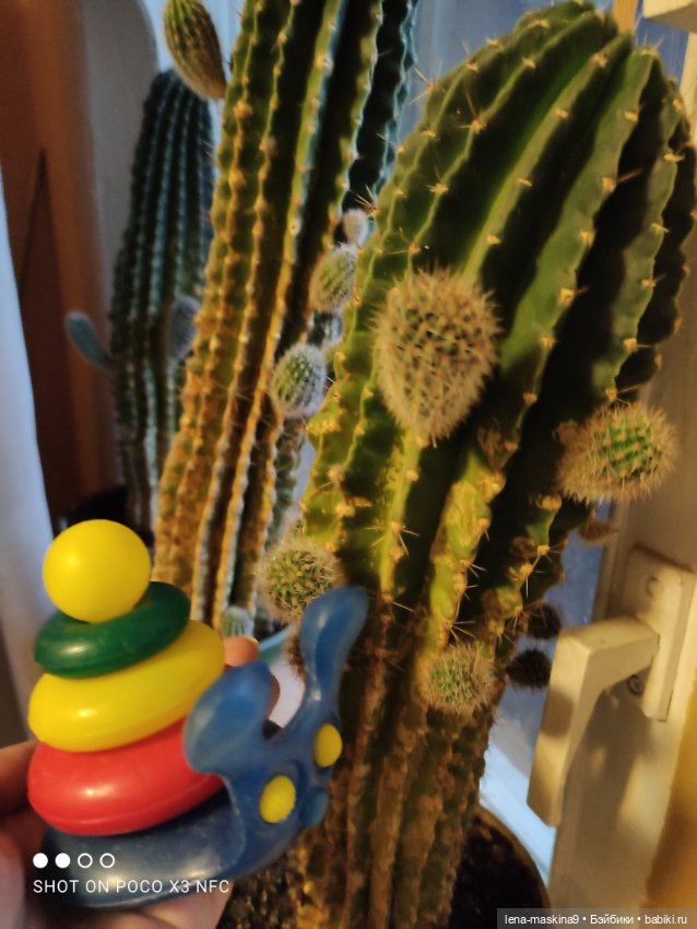 Мишка гармонист — Игрушки СССР и советского детства: резиновые