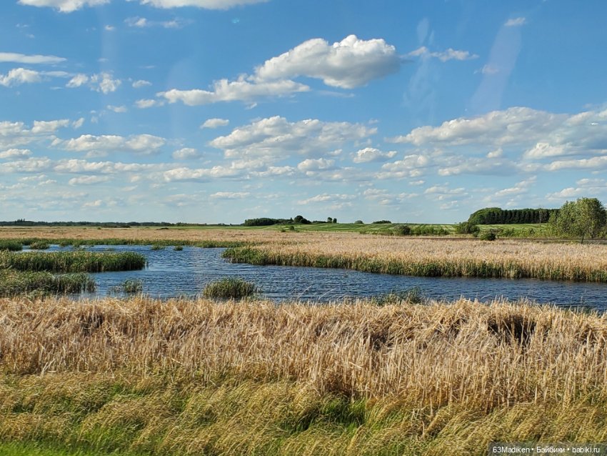 Как Саша за козами ездила (фото 3)