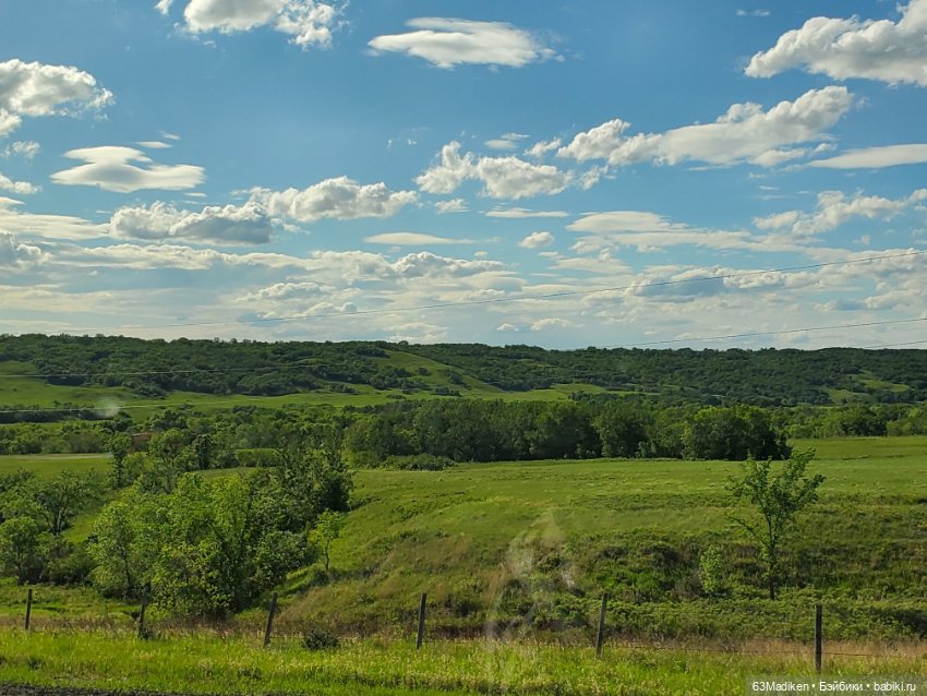 Как Саша за козами ездила (фото 2)