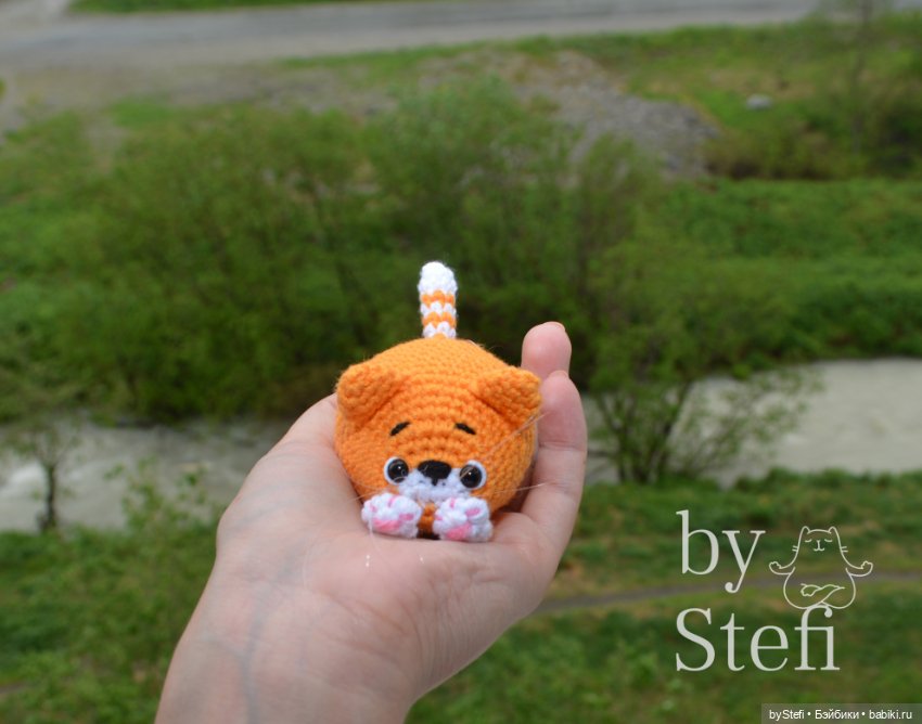 Солнечный котёнок в дождивый день