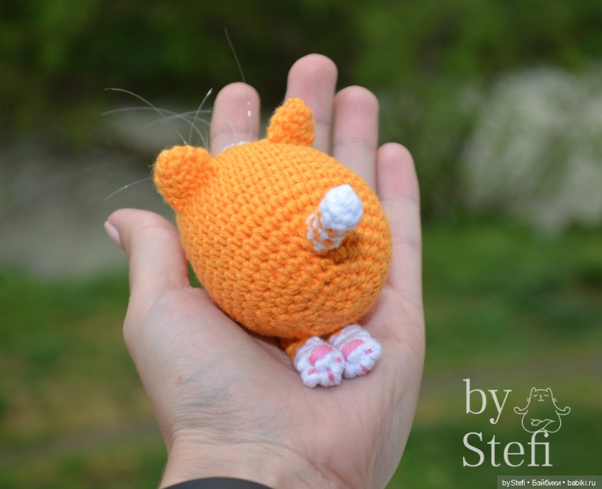 Солнечный котёнок в дождивый день (фото 3)