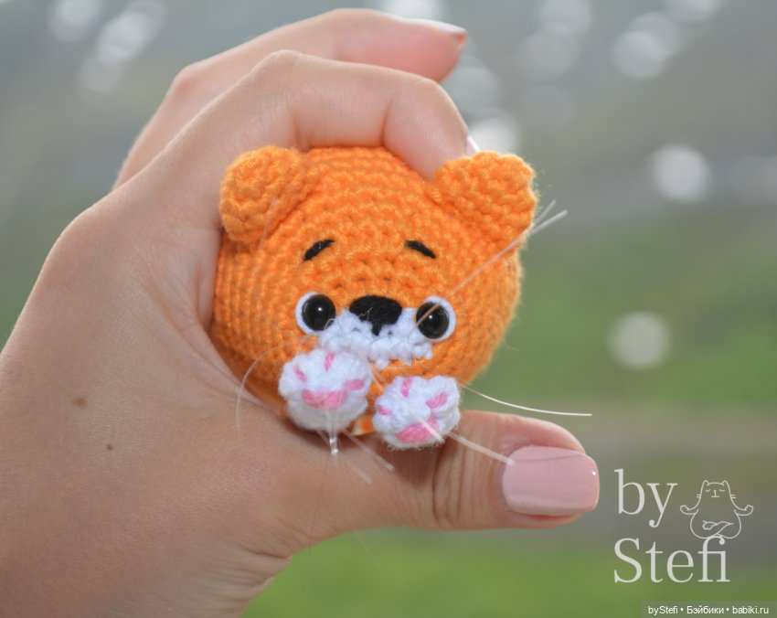 Солнечный котёнок в дождивый день (фото 8)