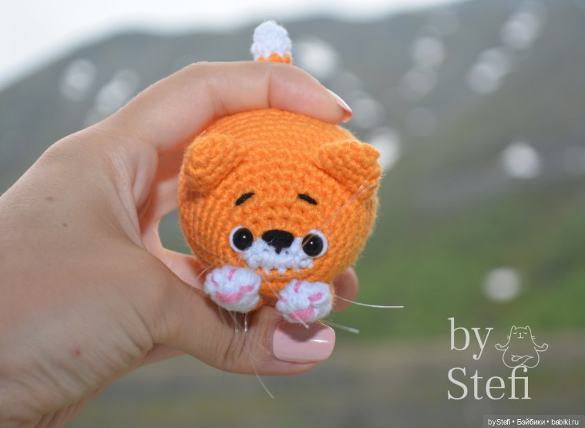 Солнечный котёнок в дождивый день (фото 7)