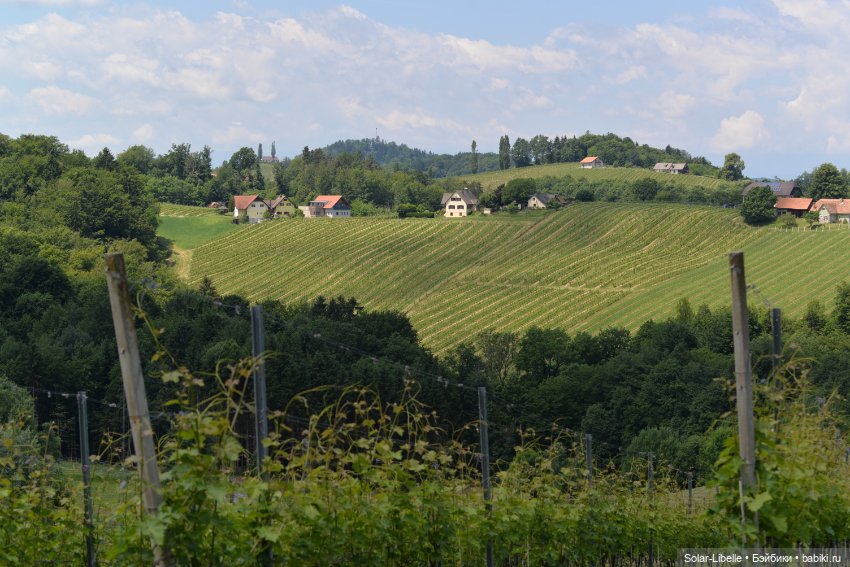 "Штирийская" Тоскана и кидзик на прогулке