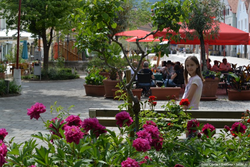 "Штирийская" Тоскана и кидзик на прогулке