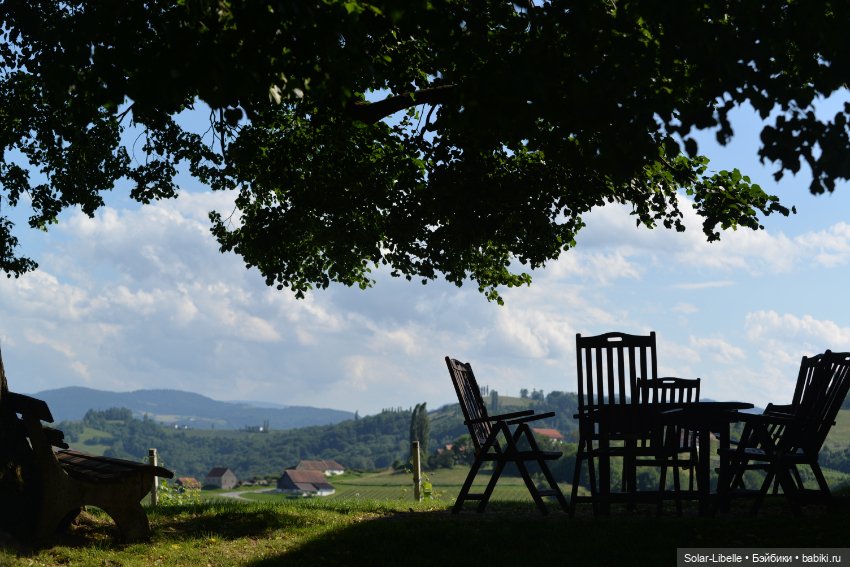 "Штирийская" Тоскана и кидзик на прогулке