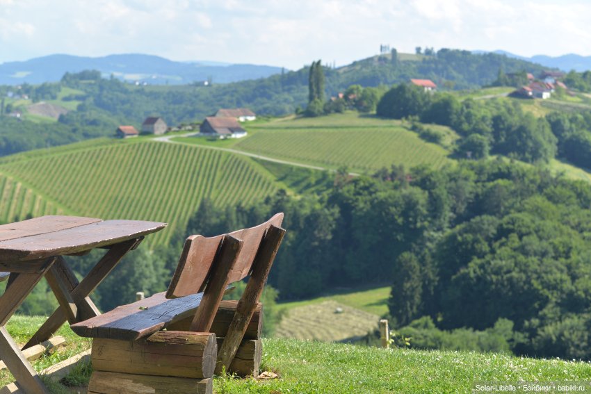 "Штирийская" Тоскана и кидзик на прогулке
