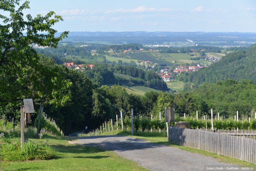 "Штирийская" Тоскана и кидзик на прогулке