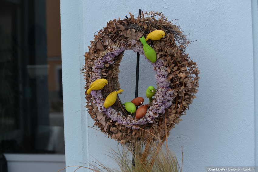 "Штирийская" Тоскана и кидзик на прогулке (фото 8)