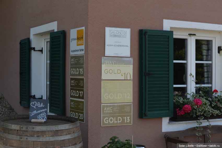 "Штирийская" Тоскана и кидзик на прогулке