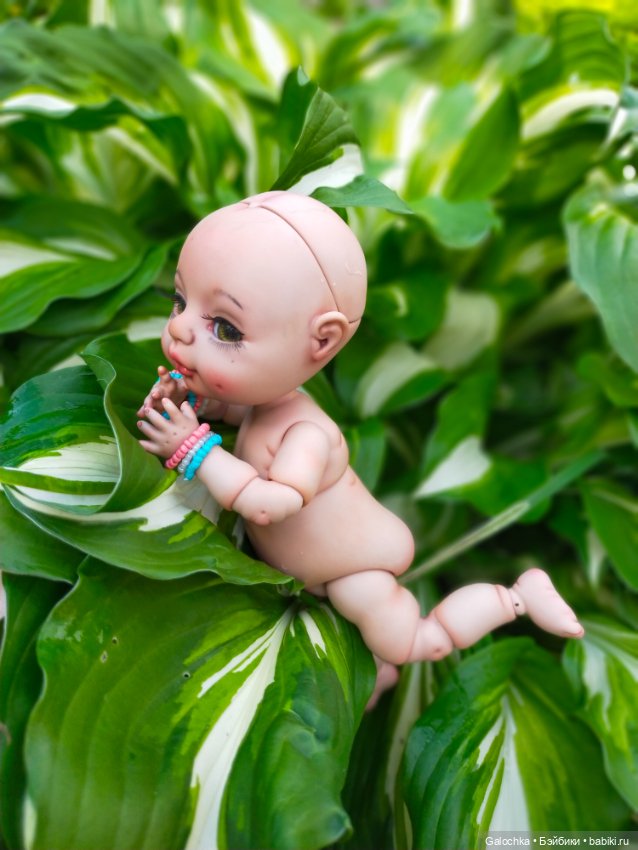 Пахлава моей души — Авторские куклы BJD (БЖД) у нас дома: фото