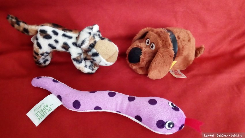 Заявление (опрос) — Болталка и разговоры обо всем: жизнь (фото 4)