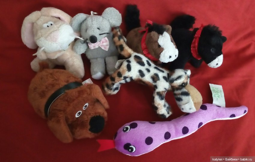 Заявление (опрос) — Болталка и разговоры обо всем: жизнь (фото 5)