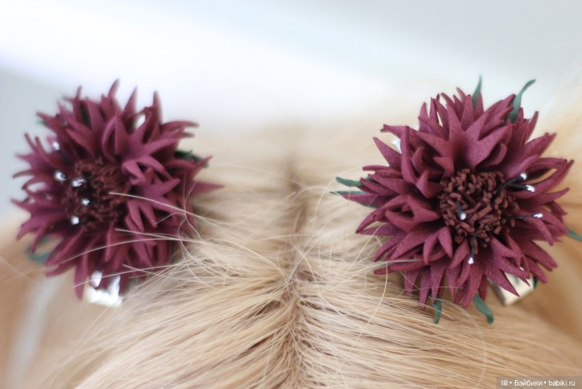 Моя новая девочка Zwergnase (фото 3)