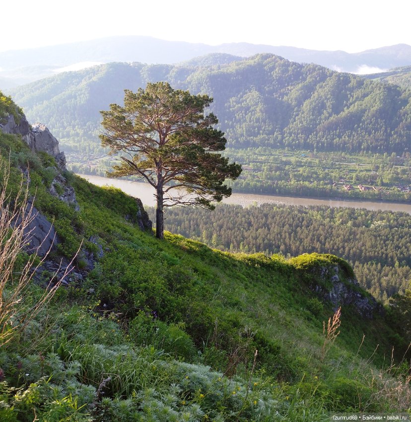 Волшебный Алтай. Часть 1 — Туризм и путешествия: фотоотчеты из поездок