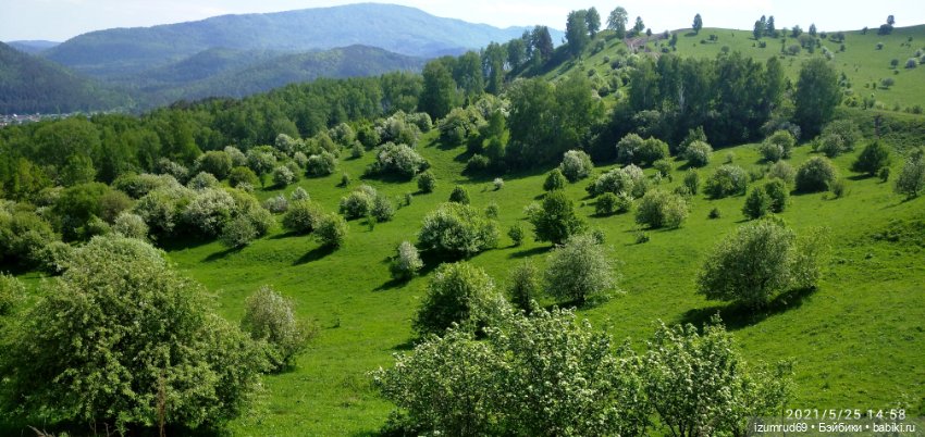 Волшебный Алтай. Часть 1 — Туризм и путешествия: фотоотчеты из поездок