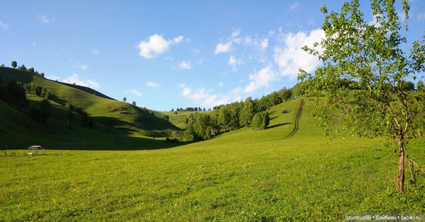 Волшебный Алтай. Часть 1 — Туризм и путешествия: фотоотчеты из поездок (фото 5)