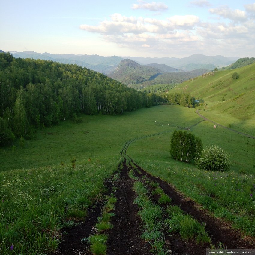 Волшебный Алтай. Часть 1 — Туризм и путешествия: фотоотчеты из поездок (фото 9)