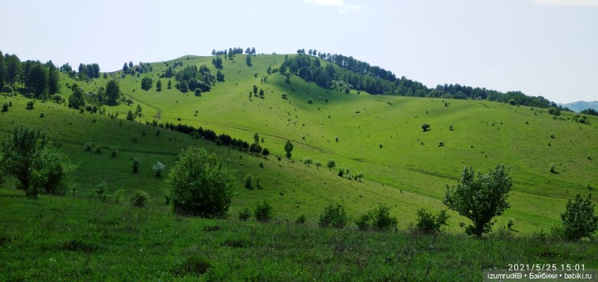Волшебный Алтай. Часть 1 — Туризм и путешествия: фотоотчеты из поездок