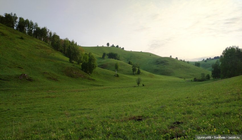 Волшебный Алтай. Часть 1 — Туризм и путешествия: фотоотчеты из поездок (фото 8)