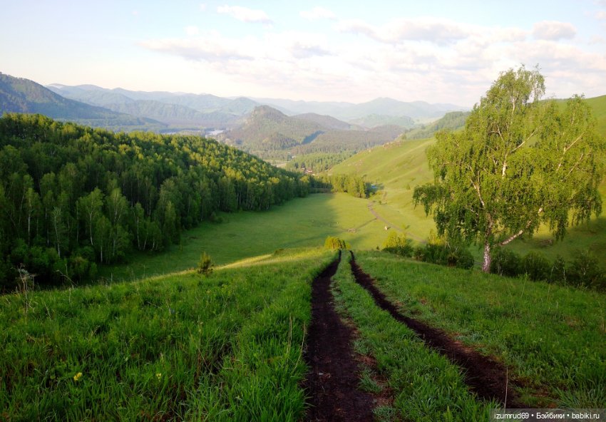 Волшебный Алтай. Часть 1 — Туризм и путешествия: фотоотчеты из поездок (фото 10)