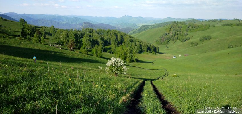Волшебный Алтай. Часть 1 — Туризм и путешествия: фотоотчеты из поездок