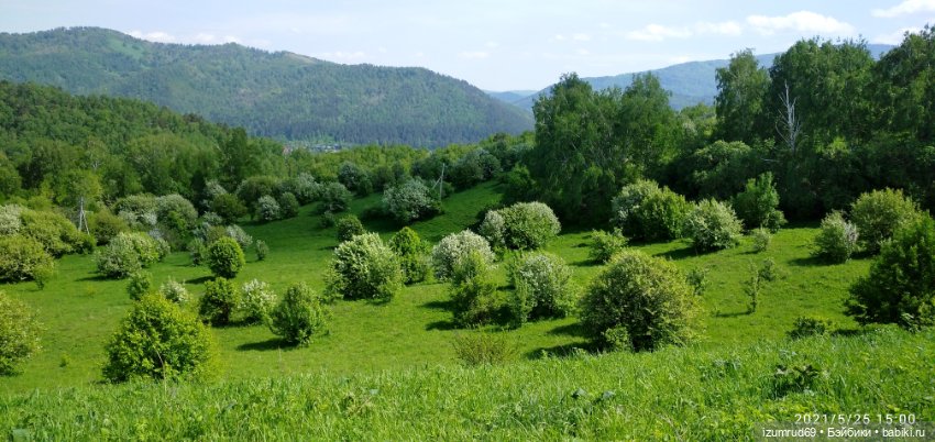 Волшебный Алтай. Часть 1 — Туризм и путешествия: фотоотчеты из поездок