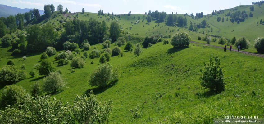 Волшебный Алтай. Часть 1 — Туризм и путешествия: фотоотчеты из поездок