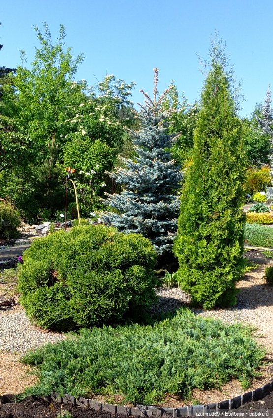 Волшебный Алтай. Часть 3 — Туризм и путешествия: фотоотчеты из поездок (фото 7)