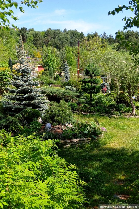 Волшебный Алтай. Часть 3 — Туризм и путешествия: фотоотчеты из поездок