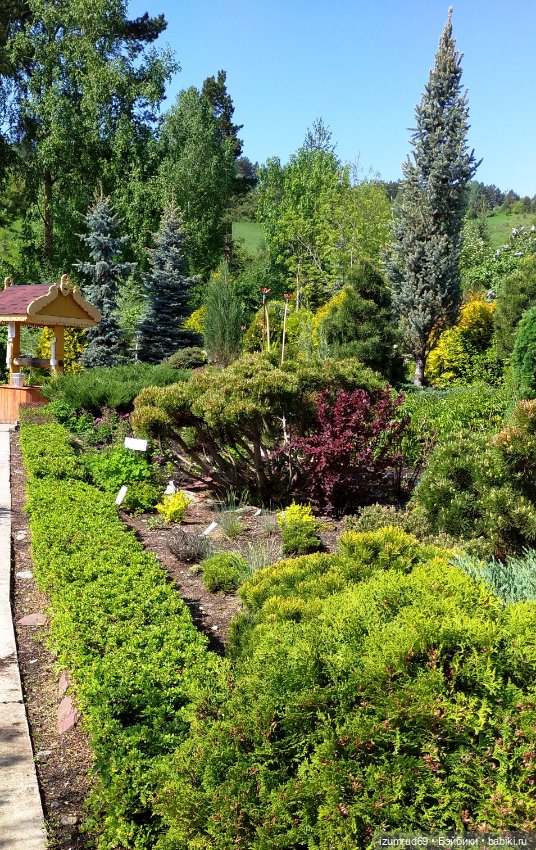 Волшебный Алтай. Часть 3 — Туризм и путешествия: фотоотчеты из поездок (фото 10)