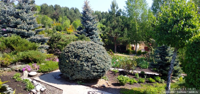 Волшебный Алтай. Часть 3 — Туризм и путешествия: фотоотчеты из поездок