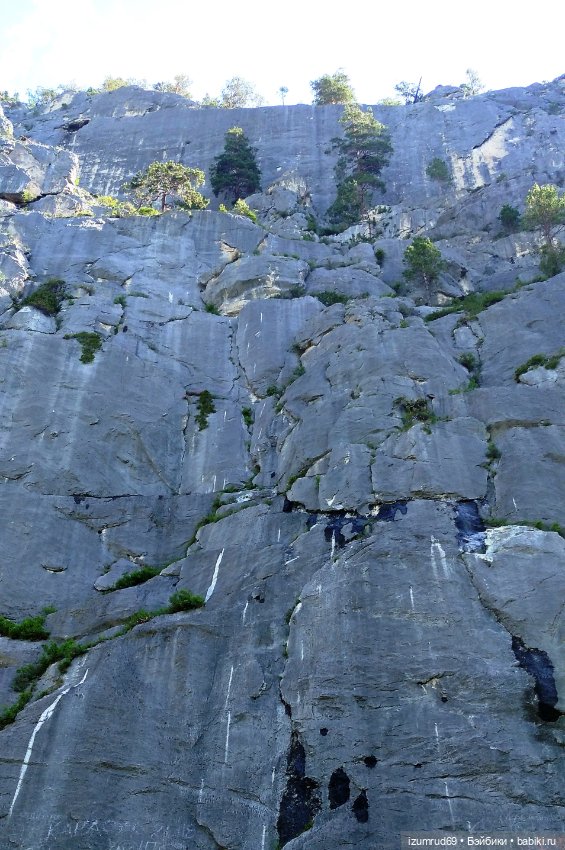 Волшебный Алтай. Часть 2 — Туризм и путешествия: фотоотчеты из поездок (фото 6)