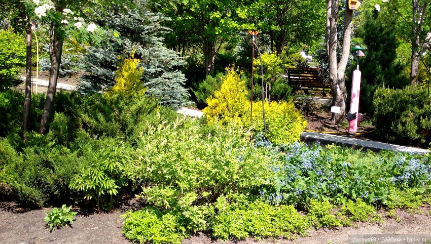 Волшебный Алтай. Часть 3 — Туризм и путешествия: фотоотчеты из поездок