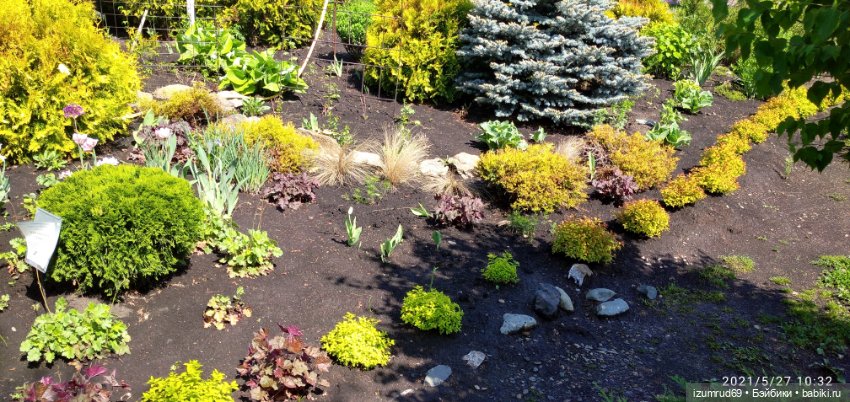 Волшебный Алтай. Часть 3 — Туризм и путешествия: фотоотчеты из поездок