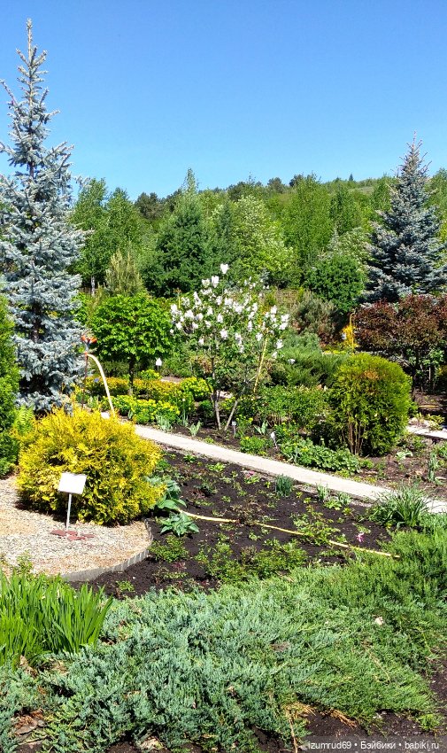 Волшебный Алтай. Часть 3 — Туризм и путешествия: фотоотчеты из поездок (фото 9)