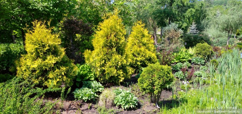 Волшебный Алтай. Часть 3 — Туризм и путешествия: фотоотчеты из поездок