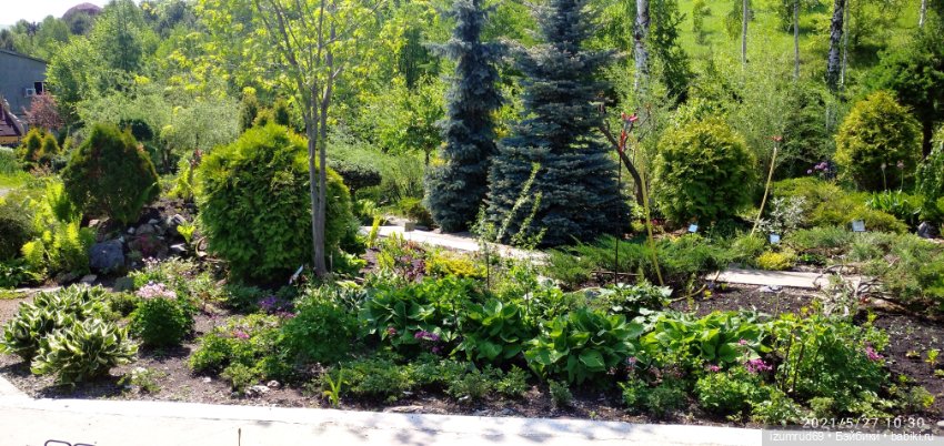 Волшебный Алтай. Часть 3 — Туризм и путешествия: фотоотчеты из поездок