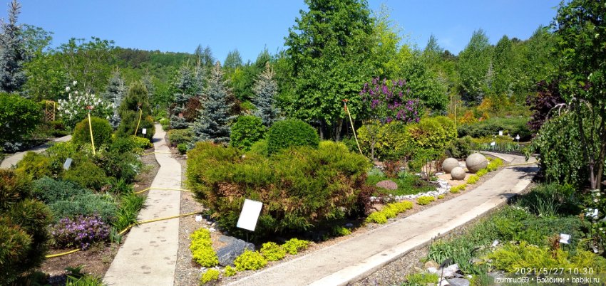 Волшебный Алтай. Часть 3 — Туризм и путешествия: фотоотчеты из поездок