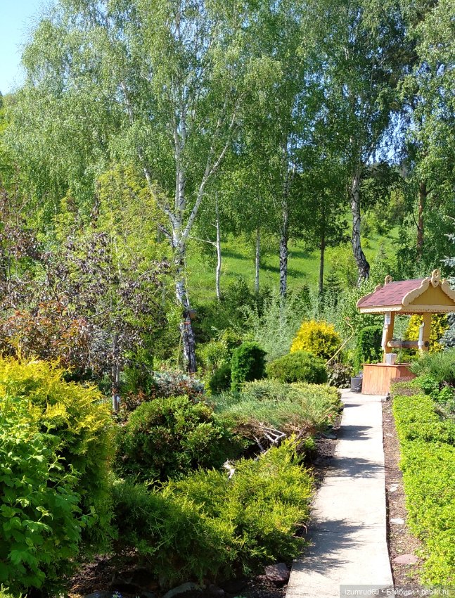 Волшебный Алтай. Часть 3 — Туризм и путешествия: фотоотчеты из поездок