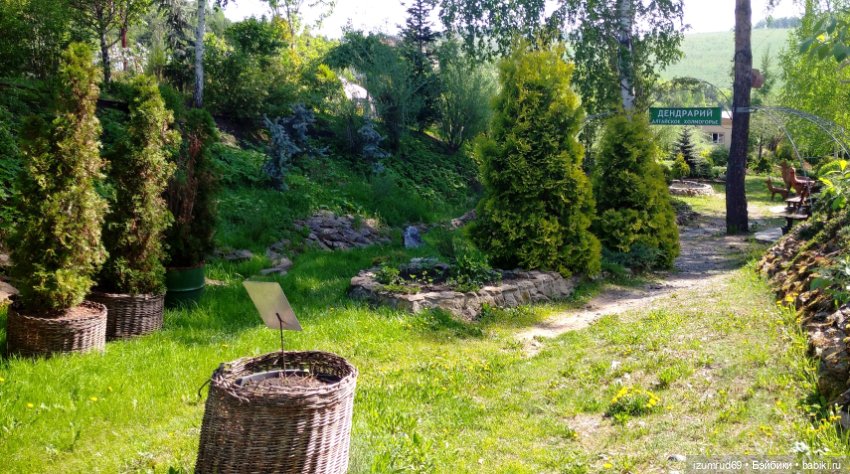 Волшебный Алтай. Часть 3 — Туризм и путешествия: фотоотчеты из поездок