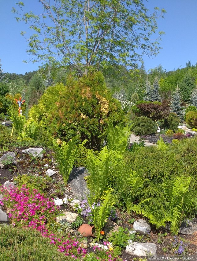 Волшебный Алтай. Часть 3 — Туризм и путешествия: фотоотчеты из поездок (фото 4)