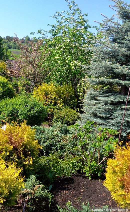 Волшебный Алтай. Часть 3 — Туризм и путешествия: фотоотчеты из поездок