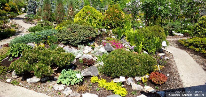 Волшебный Алтай. Часть 3 — Туризм и путешествия: фотоотчеты из поездок