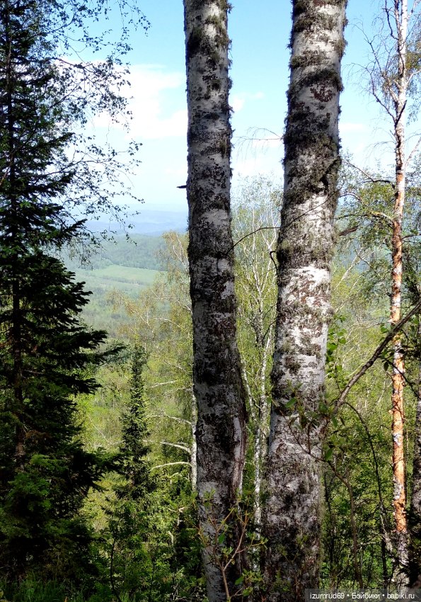 Волшебный Алтай. Часть 2 — Туризм и путешествия: фотоотчеты из поездок