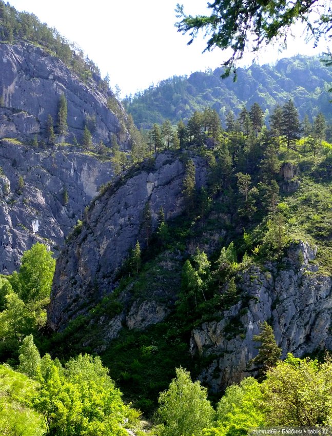 Волшебный Алтай. Часть 2 — Туризм и путешествия: фотоотчеты из поездок