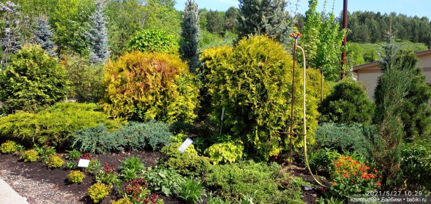 Волшебный Алтай. Часть 3 — Туризм и путешествия: фотоотчеты из поездок