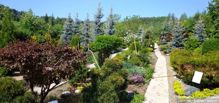 Волшебный Алтай. Часть 3 — Туризм и путешествия: фотоотчеты из поездок