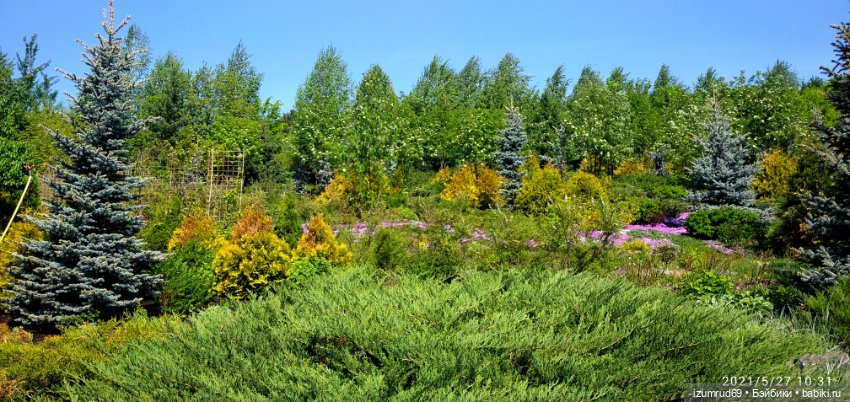 Волшебный Алтай. Часть 3 — Туризм и путешествия: фотоотчеты из поездок