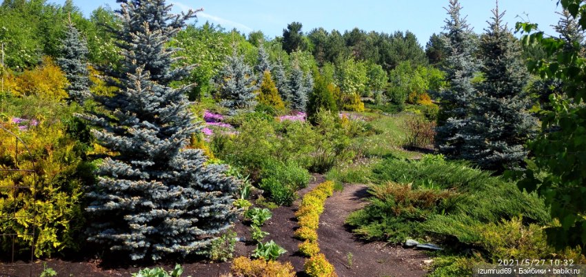 Волшебный Алтай. Часть 3 — Туризм и путешествия: фотоотчеты из поездок